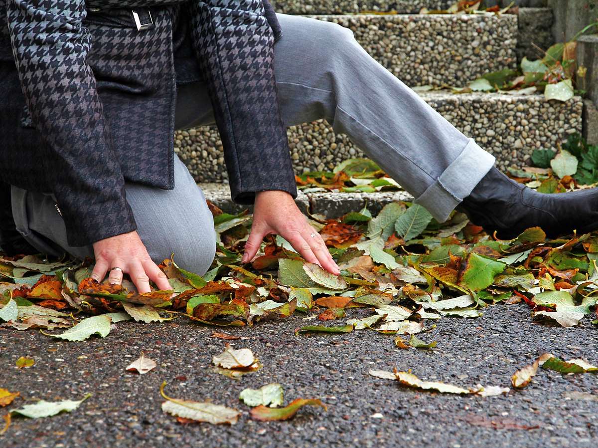 Fallobst, Kastanienschlag, Heizung: Die wichtigsten Herbst-Urteile