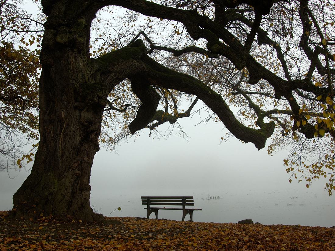 Herbstdepression: Was der Seele jetzt guttut Herbstdepression: Was der Seele jetzt guttut