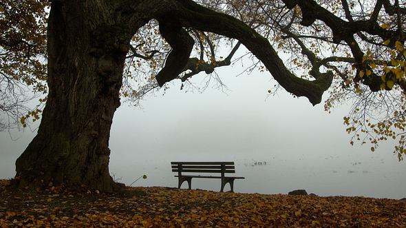 Herbstdepression: Was der Seele jetzt guttut - Foto: Mcbrugg / iStock