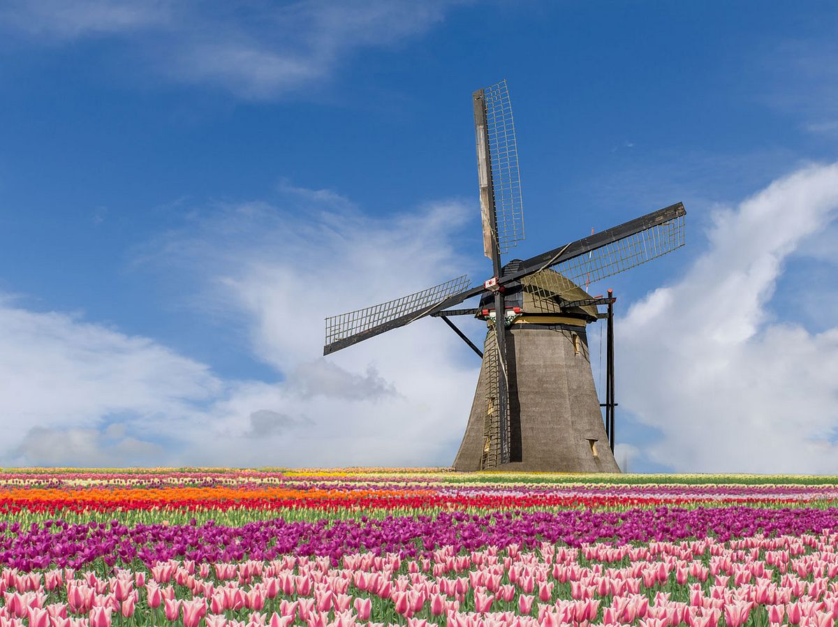 Urlaubstipp: Zur Tulpenblüte nach Holland