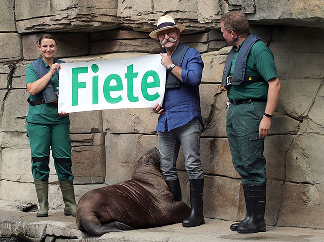 Horst Lichter bei der Taufe von Walross Fiete im Tierpark Hagenbeck. Horst Lichter bei der Taufe von Walross Fiete im Tierpark Hagenbeck.