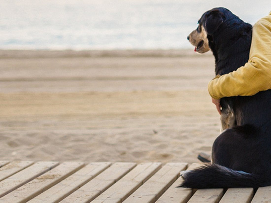 Ungewöhnliche Freundschaft: Junge & Hund verbindet Erkrankung Ungewöhnliche Freundschaft: Junge & Hund verbindet Erkrankung
