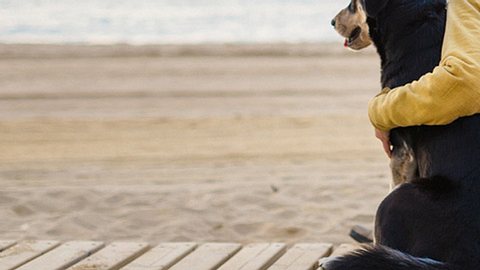 Ungewöhnliche Freundschaft: Junge & Hund verbindet Erkrankung - Foto: deimagine / iStock