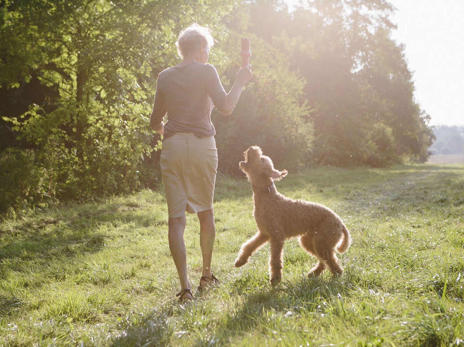 Hunde für Senioren Welche Rassen sich am besten eignen Liebenswert