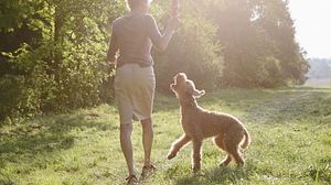 Hunde für Senioren - Foto: fotografixx / iStock