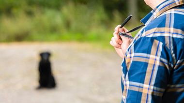 Hundepfeife in der Hand eines Mannes - Foto: iStock/jarih 