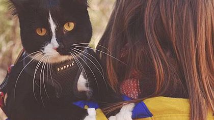 Die Katze Quandary Q Lotus Lady aus Colorado geht mit ihren Besitzern regelmäßig auf Abenteuerreise. - Foto: Instagram / exploration_cat