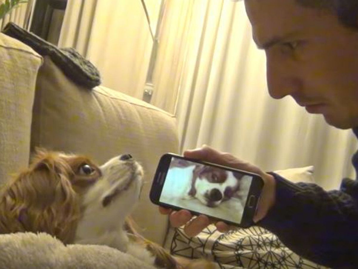 In einem witzigen Internet-Video weckt ein Herrchen seinen schlafenden Hund mit dessen eigenem Schnarch-Geräusch.