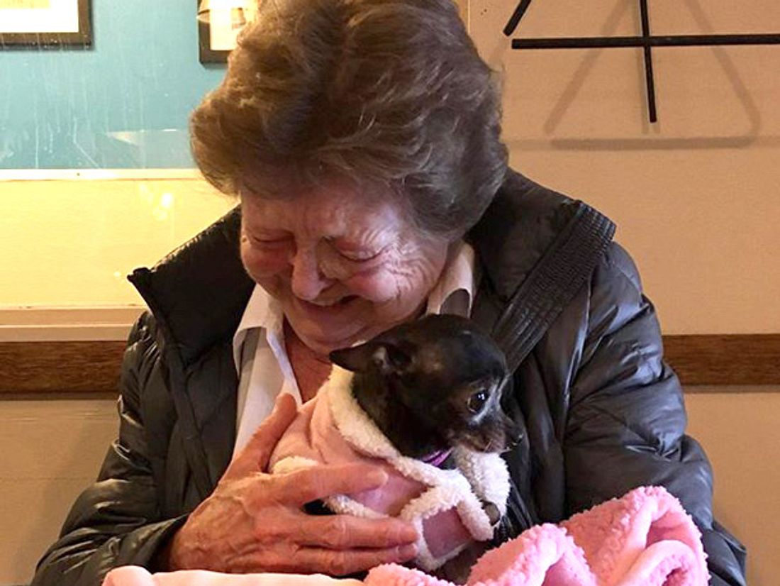 Nachdem ihr geliebter Chihuahua gestorben war, wollte die 73-jährige Jerri McCutcheon eigentlich keinen neuen Hund mehr - doch in Minnie verliebte sie sich auf den ersten Blick. Nachdem ihr geliebter Chihuahua gestorben war, wollte die 73-jährige Jerri McCutcheon eigentlich keinen neuen Hund mehr - doch in Minnie verliebte sie sich auf den ersten Blick.