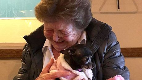Nachdem ihr geliebter Chihuahua gestorben war, wollte die 73-jährige Jerri McCutcheon eigentlich keinen neuen Hund mehr - doch in Minnie verliebte sie sich auf den ersten Blick. - Foto: Facebook / The Humane Society of Western Montana