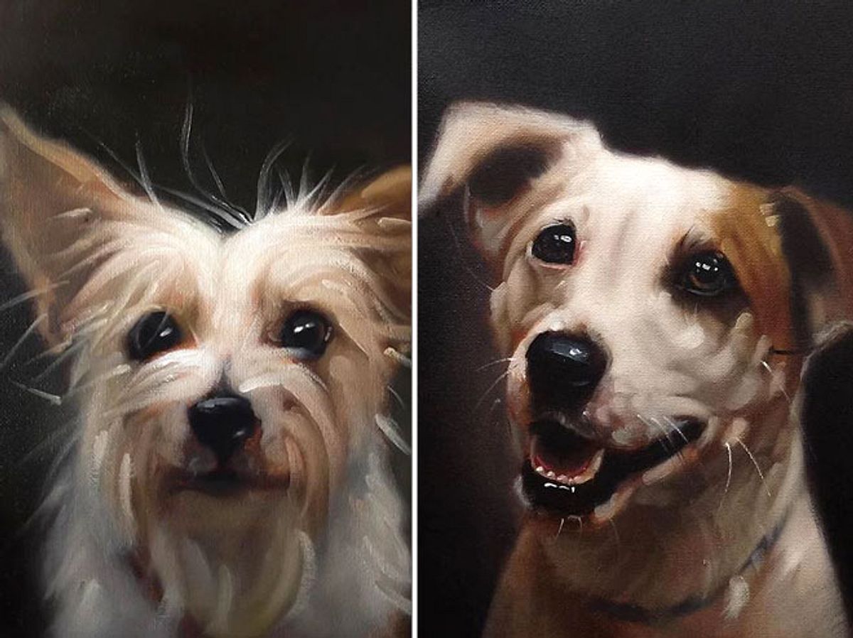 Der Künstler Stephen Gallagher will mit einer besonderen Porträt-Serie dafür sorgen, Tierheimhunde im australischen Brisbane zu vermitteln.