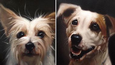 Der Künstler Stephen Gallagher will mit einer besonderen Porträt-Serie dafür sorgen, Tierheimhunde im australischen Brisbane zu vermitteln. - Foto: Stephen Gallagher Art