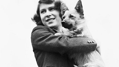 Schon seit ihrer Kindheit hat Queen Elizabeth ein großes Herz für Hunde - und gibt ihren Vierbeinern ganz besondere Namen. - Foto: Lisa Sheridan / Hulton Archive / Getty Images