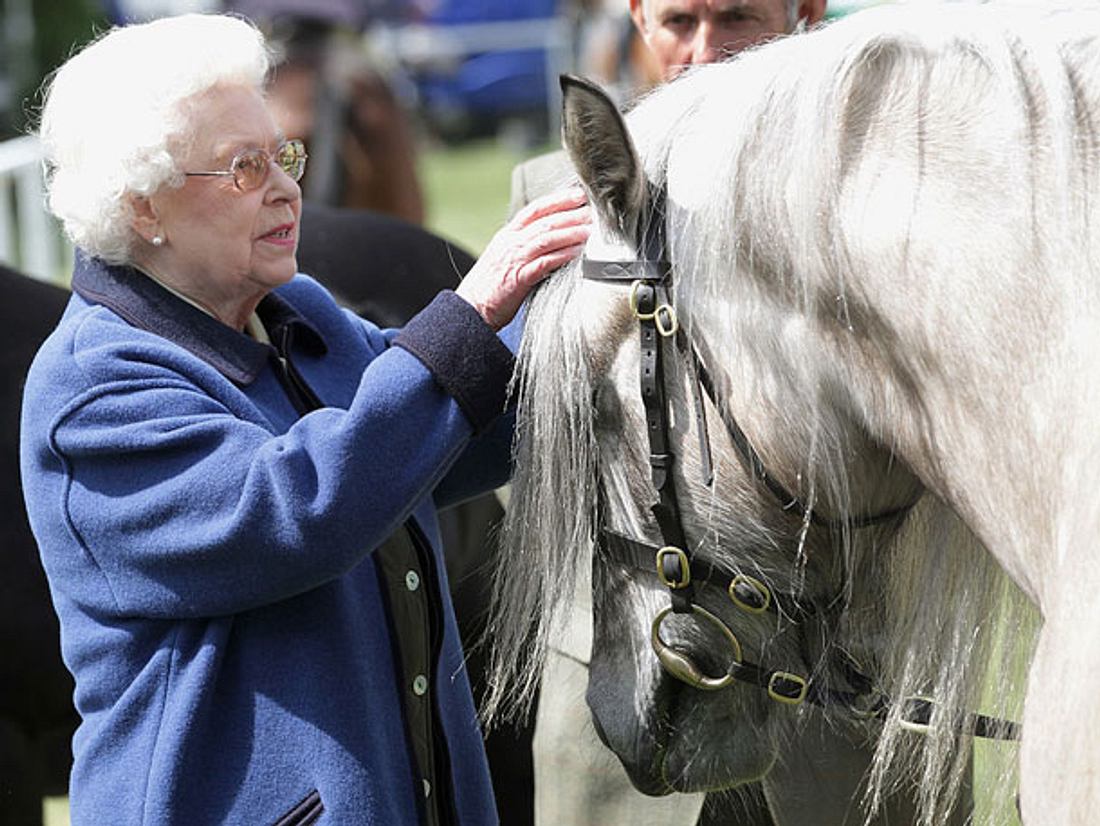 Queen Elizabeth: Hunde, Pferde & Co – Ihr persönlicher Streichelzoo Queen Elizabeth: Hunde, Pferde & Co – Ihr persönlicher Streichelzoo