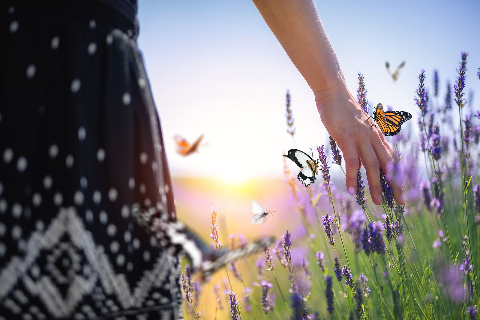 Insektenfreundlicher Garten Wichtig für den Umweltschutz