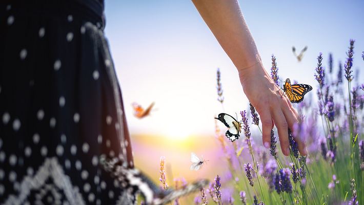 Insektenfreundlicher Garten - Foto: iStock/ borchee