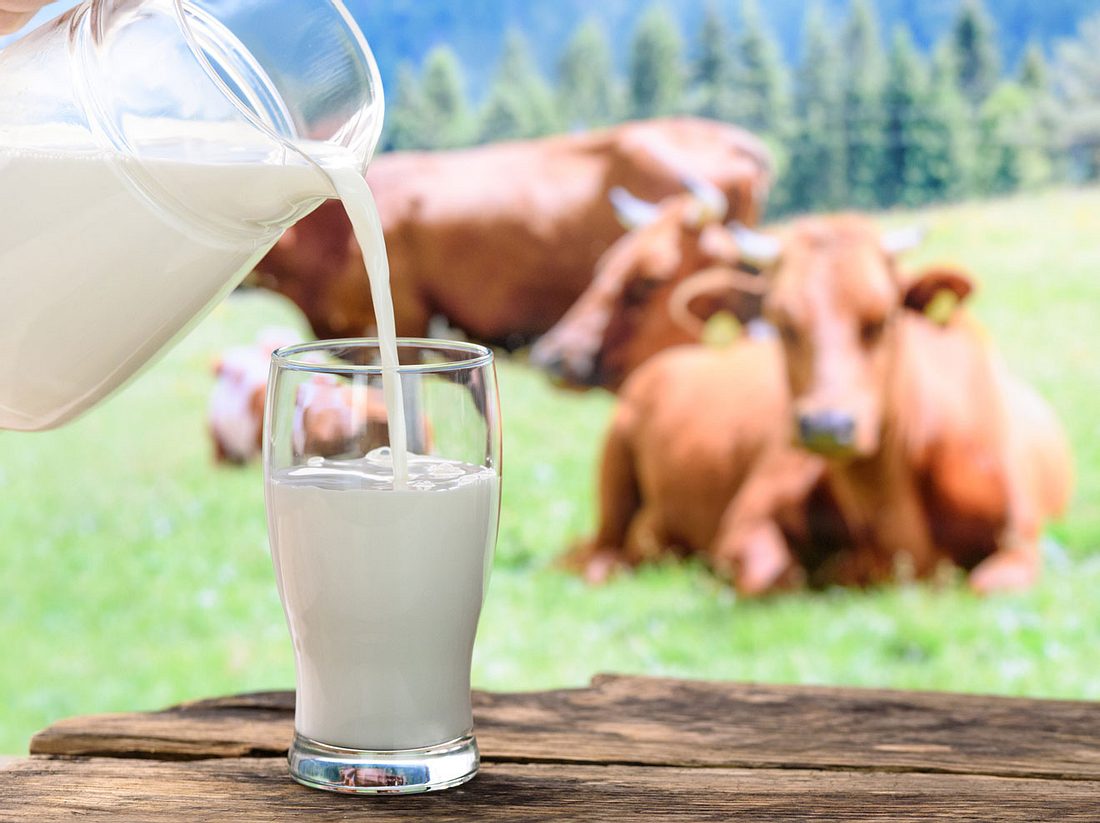 Ist Milch ungesund? 7 Fragen & Antworten im Check