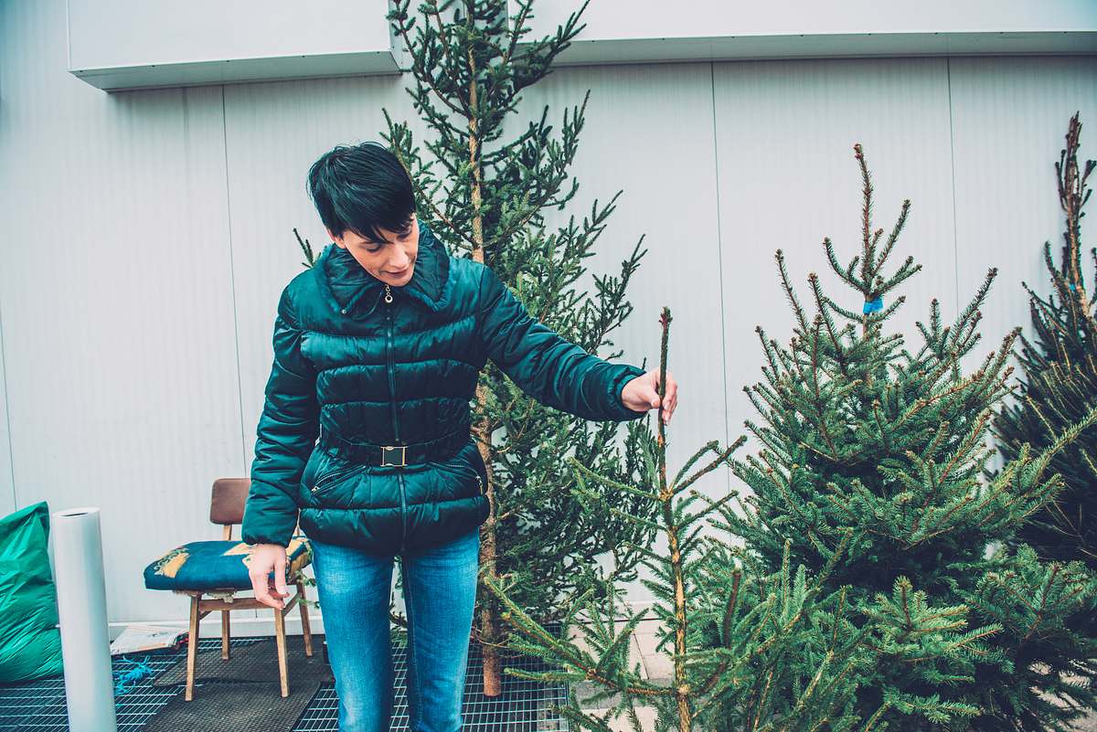 Eine Frau mit kurzen schwarzen Haaren in blauen Jeans und Winterjacke wählt einen Weihnachtsbaum.