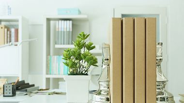 Buchstützen stützen die Bücher im Regal - Foto: iStock/Praiwan Wasanruk
