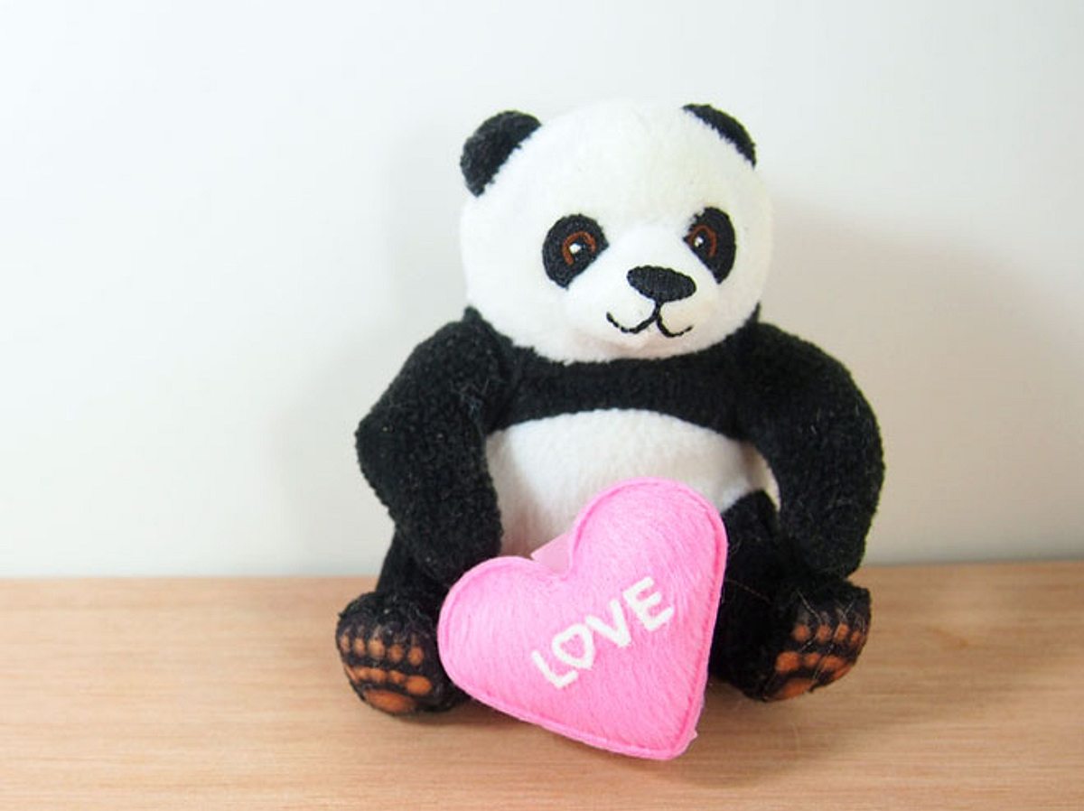 Ein Junge aus Liverpool hatte sein Herz an einen Plüsch-Panda verloren.