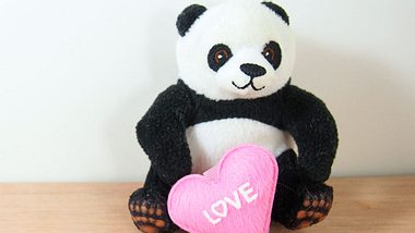 Ein Junge aus Liverpool hatte sein Herz an einen Plüsch-Panda verloren. - Foto: BeeBen14 / iStock