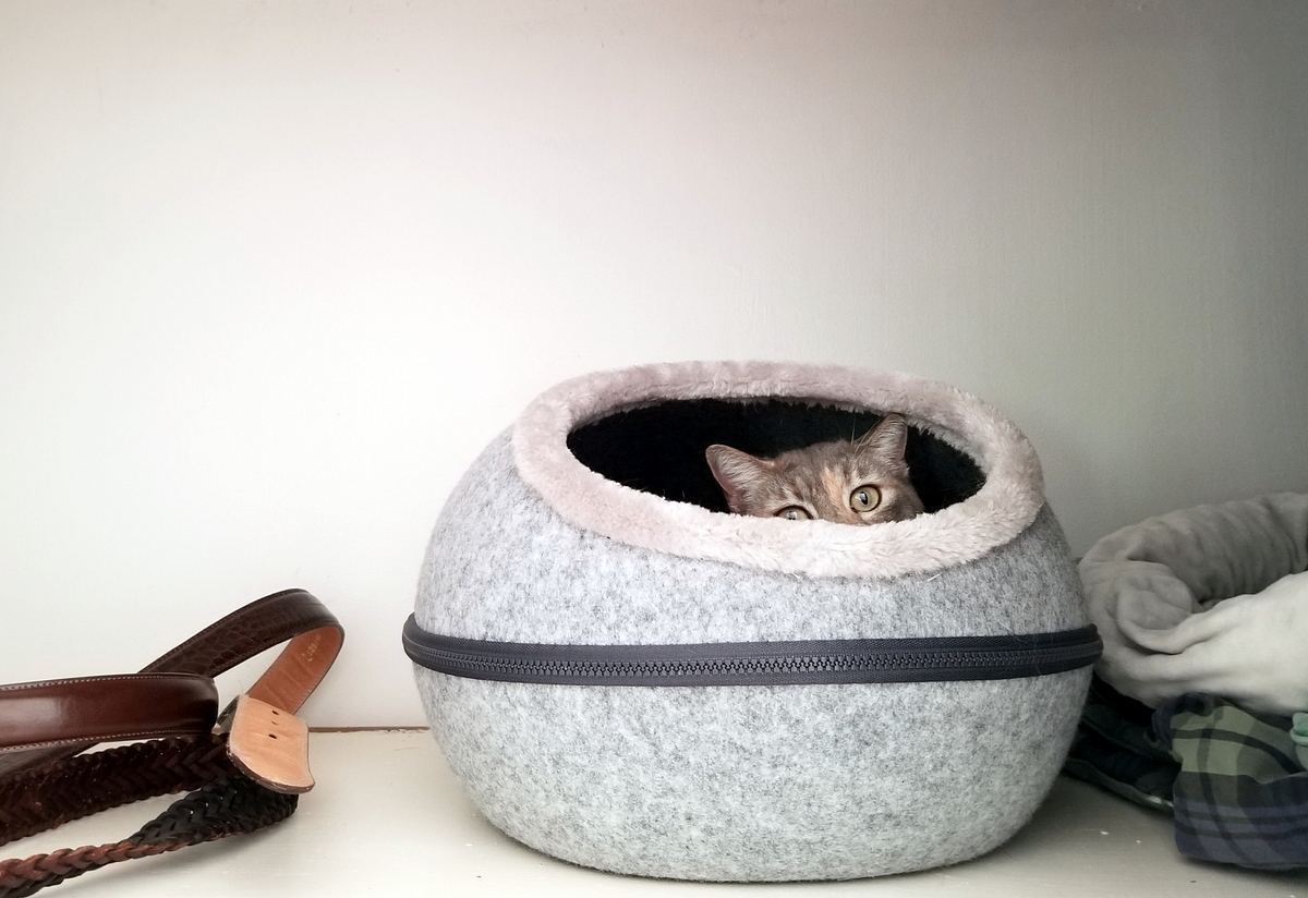 Katze versteckt sich in Katzenhöhle aus Filz