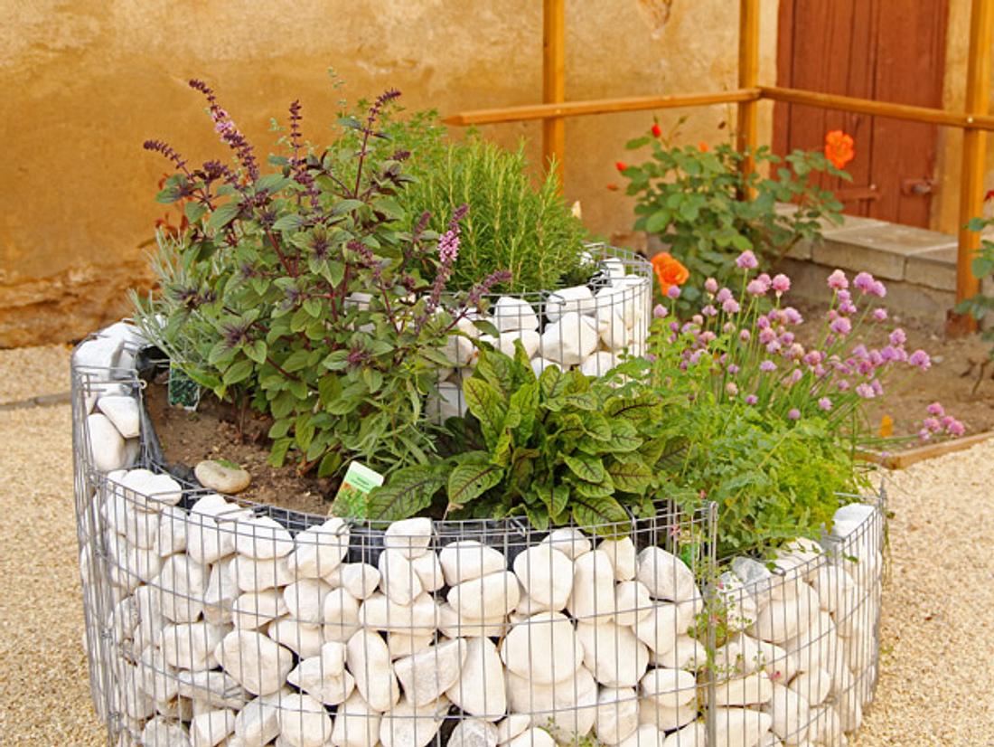 Kräuterspirale & Co.: So legen Sie einen Kräutergarten an