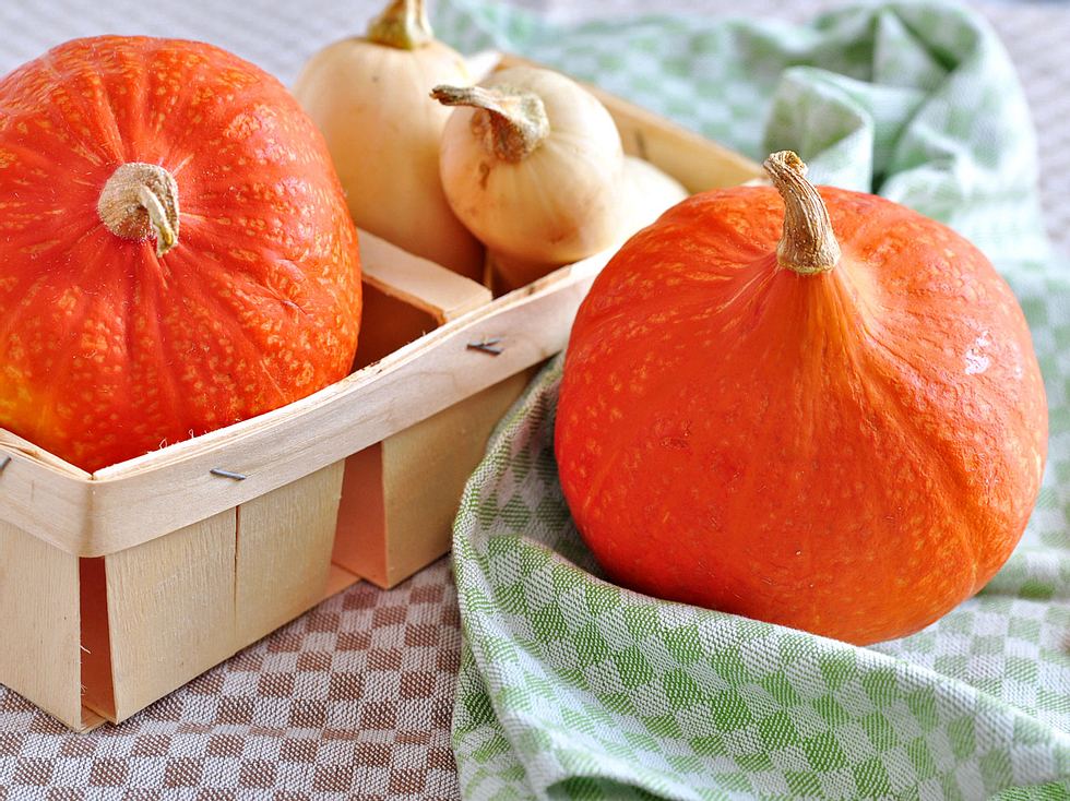 Der Hokkaido und der Butternusskürbis gehören zu den beliebtesten Kürbissorten.