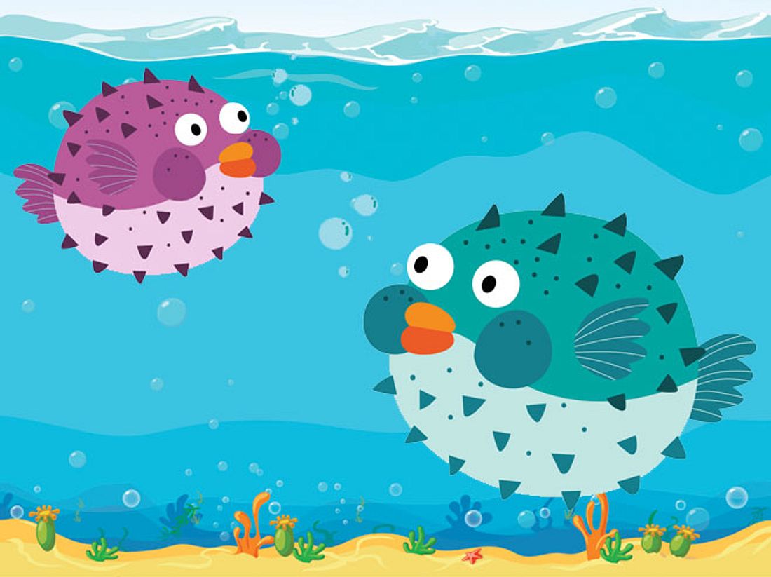 Kugelfische sind kreative Meister bei der Partnersuche Kugelfische sind kreative Meister bei der Partnersuche