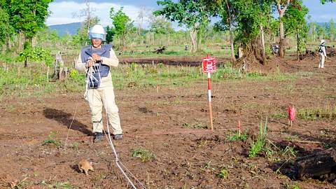 Ein Landminensucher mit einer speziell ausgebildeten Ratte an der Leine. - Foto: iStock / noelhtan