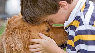 Wissenschaftler bewiesen in einer neuen Studie, das Hunde unsere Sprache besser verstehen als bisher gedacht. - Foto: sonyae / iStock