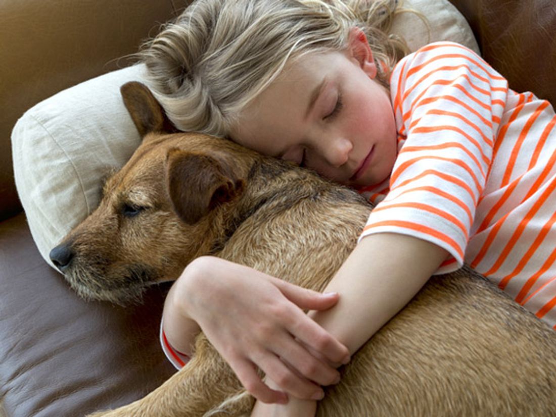 Eine Studie besagt, dass Kinder oft eine engere Bindung zu Haustieren haben als zu ihren Geschwistern.