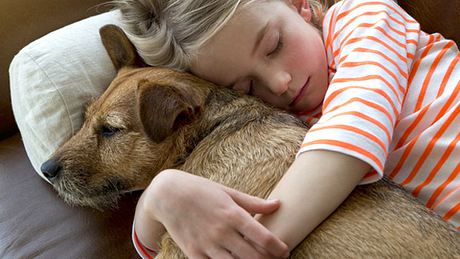 Eine Studie besagt, dass Kinder oft eine engere Bindung zu Haustieren haben als zu ihren Geschwistern. - Foto: DGLimages / iStock