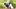 Ein Mops betrachtet eine Weinbergschnecke. - Foto: iStock/tenra