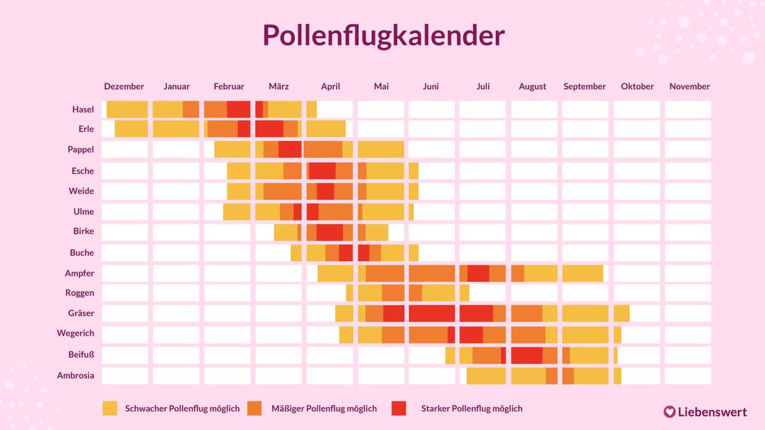 Pollenflugkalender Pollenflugkalender