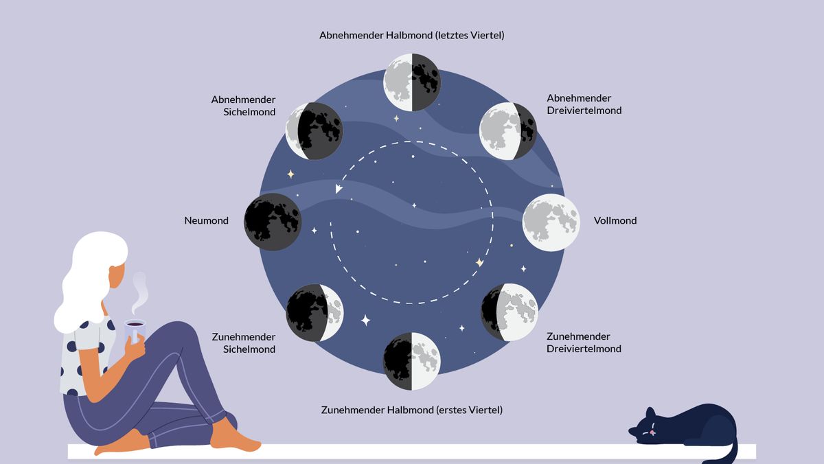 Die Mondphasen im Überblick: Von Vollmond bis Sichelmond