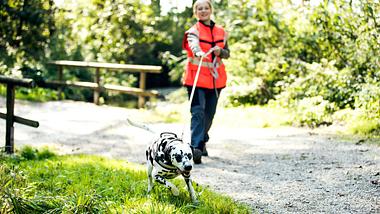 Im Park trainiert eine junge Frau mit ihrem Hund. Der Hund läuft vor Ihr an einer langen, gespannten Leine.  - Foto: IMAGO / Westend61