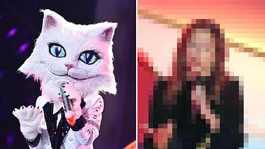Die Katze bei Masked Singer ist eine bekannte Schlagersängerin. - Foto: ProSieben/Willi Weber, Tristar Media/Getty Images