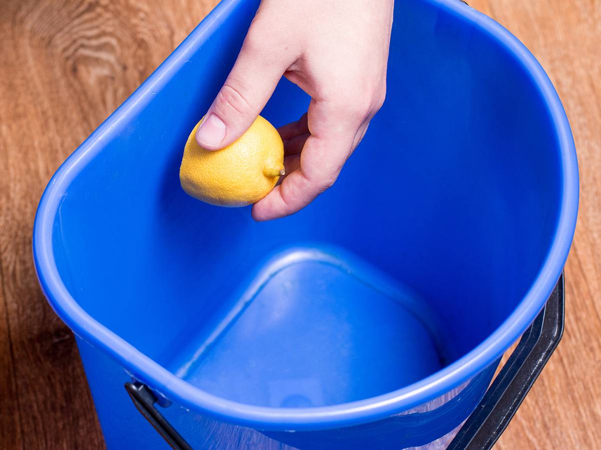Eine Zitrone kann helfen, wenn der Mülleimer stinkt.
