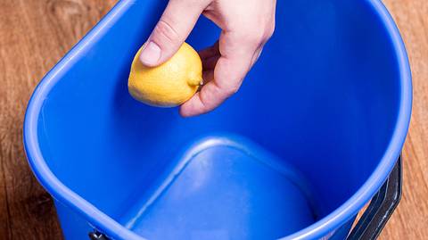 Eine Zitrone kann helfen, wenn der Mülleimer stinkt. - Foto: Qwart / iStock