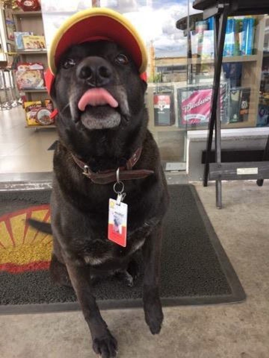 Negao ist der beliebteste Mitarbeiter der Tankstelle. Negao ist der beliebteste Mitarbeiter der Tankstelle.