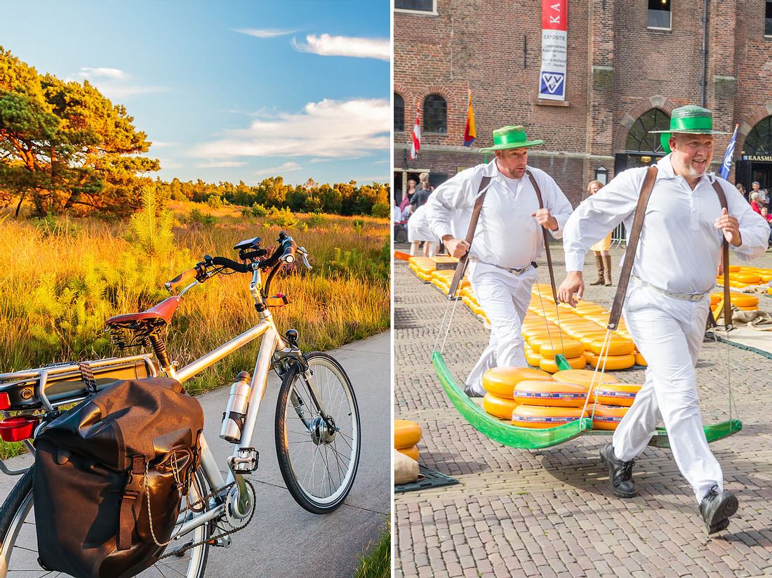 Links: Die Landschaft lädt zu ausgedehnten Fahrradtouren ein. Rechts: Käsemarkt
Alkmaar: Die Männer der Käseträger-Gilde haben schwer zu schleppen: Eine
Tragbahre wiegt um die 130 Kilogramm. Käseträger in Nordholland