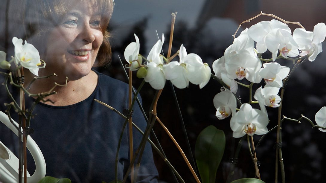 Orchideen pflegen: Das sind die besten Tipps - Foto: joste_dj/iStock