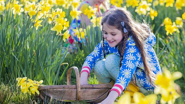 Ideen für die Suche nach dem Osternest - Foto: DGLimages / iStock