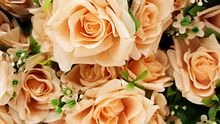Was bedeuten pfirsichfarbene Rosen? - Foto: iStock