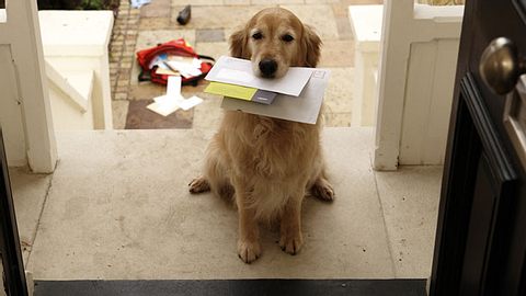 Ein besonderer Gruß vom Postboten - Foto: Janie Airey / iStock