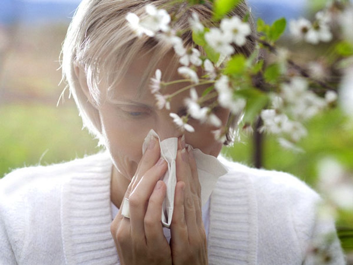 Pollenalarm: Allergie oder doch nur Erkältung?
