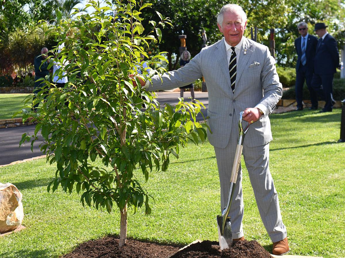 Prinz Charles pflanzt einen Baum.