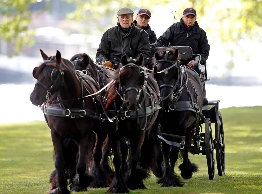 Prinz auf pferd