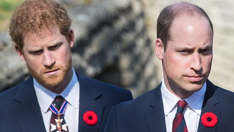 Prinz William spricht über den Tod seiner Mutter Diana. - Foto: Samir Hussein/WireImage via GettyImages